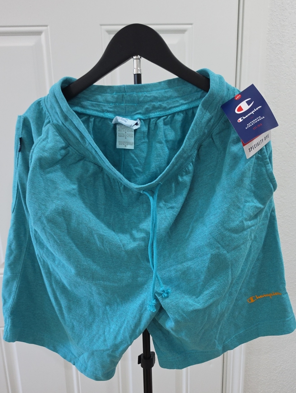 Champion Teal Athletic Drawstring Shorts